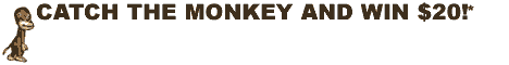 monkey_catch.gif (8308 bytes)